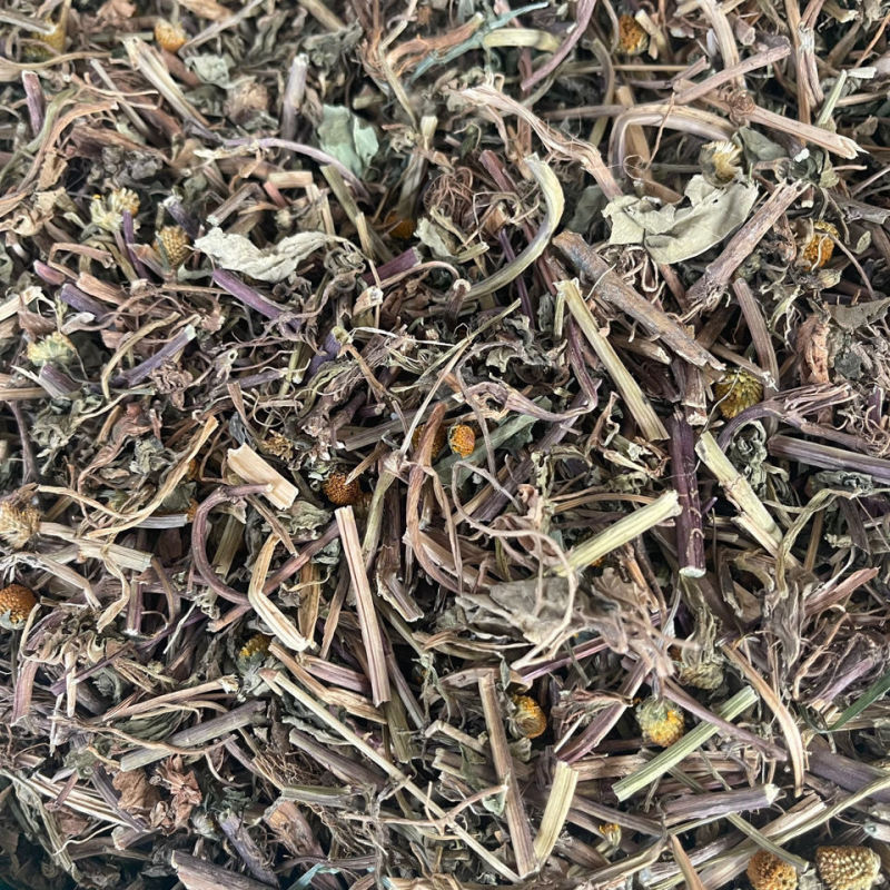 天文草1公斤中药材金纽扣山天文草雨伞草黄花苦草干货