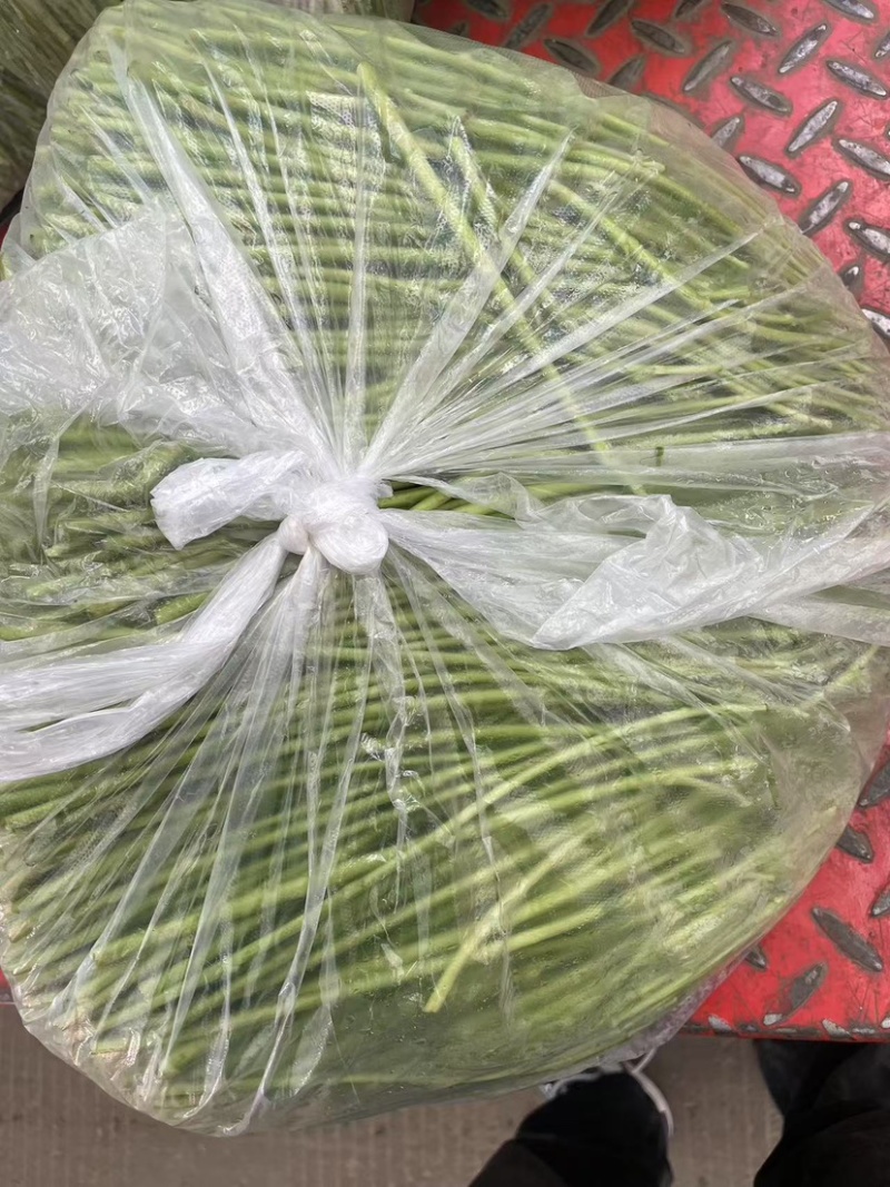 江苏精品芦蒿，质量从优，自己种植可视频看货