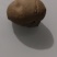 羊结石