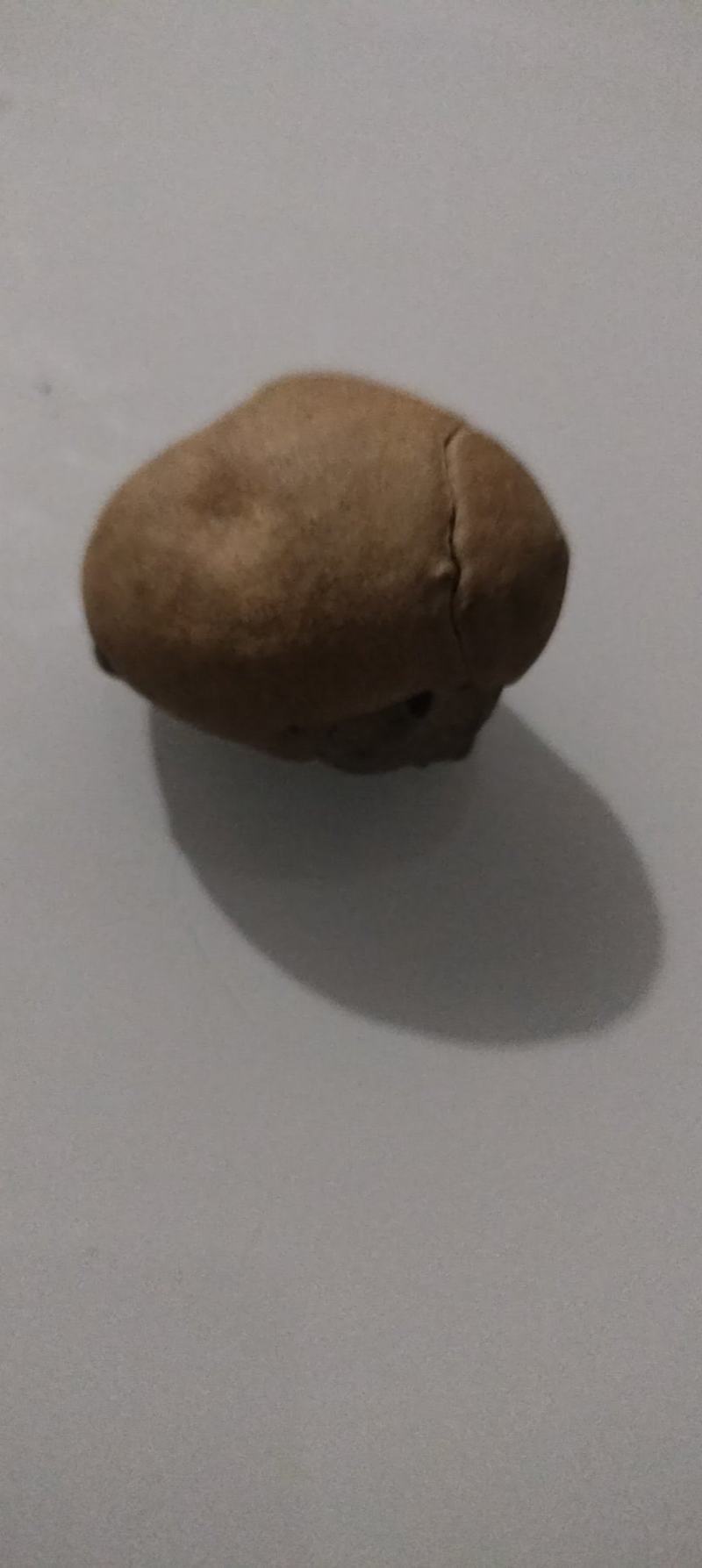 羊结石