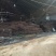 【优选】福建岗松保质保量量大从优全国发货售后无忧