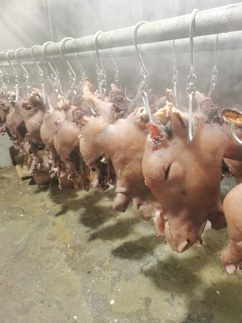 火烧熟牦牛头肉