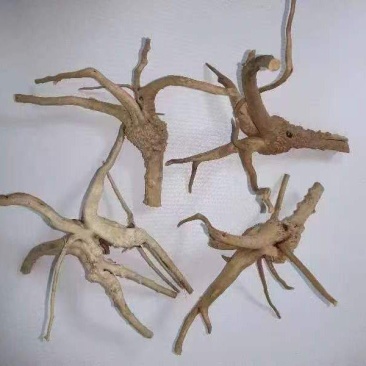 【推荐】岗松根茎大量上市量大从优保质保量全国发货