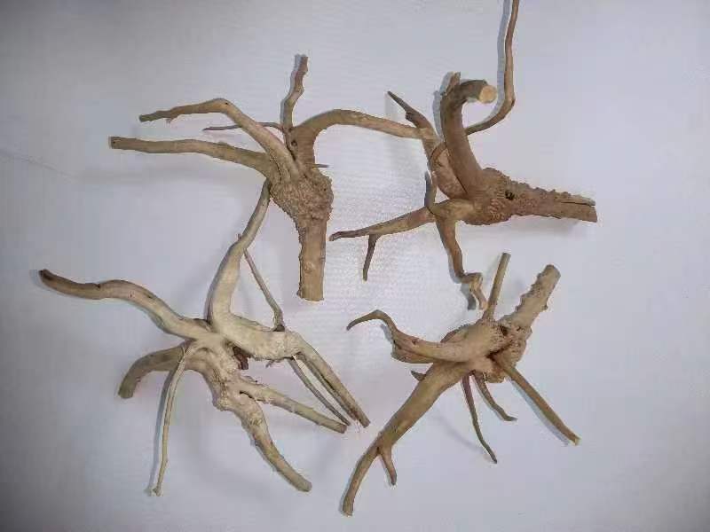 【推荐】岗松根茎大量上市量大从优保质保量全国发货