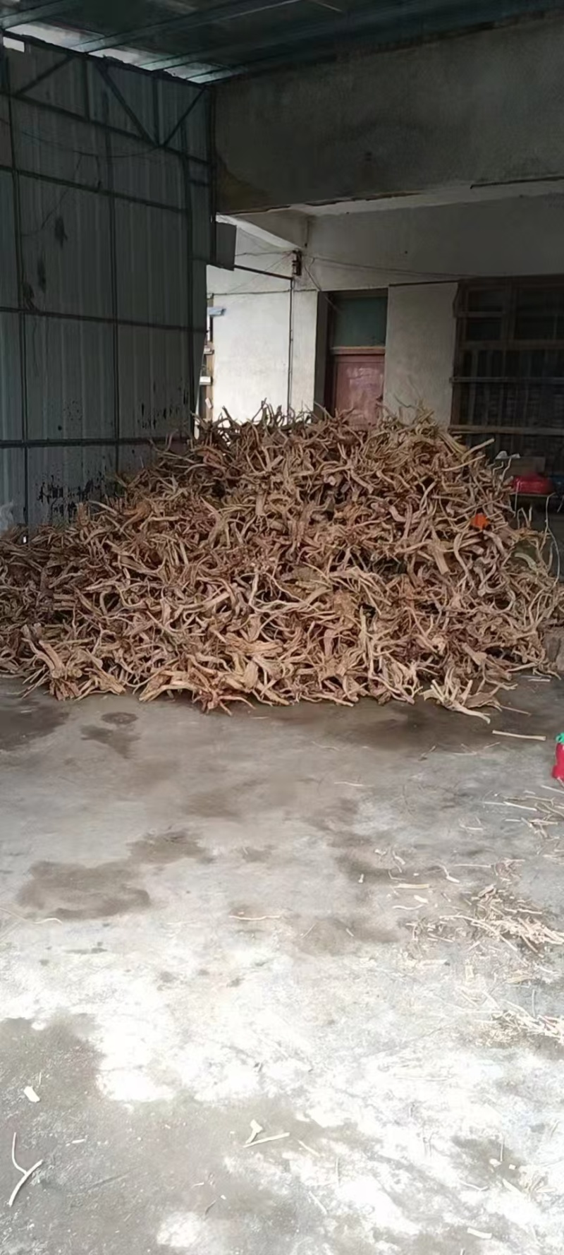【推荐】岗松根茎大量上市量大从优保质保量全国发货