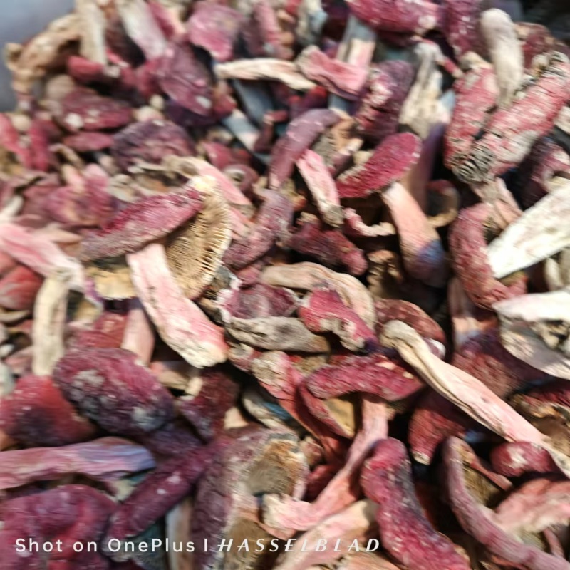 野生红菇批发产地直发正红菇滋补品，电话联系更优惠