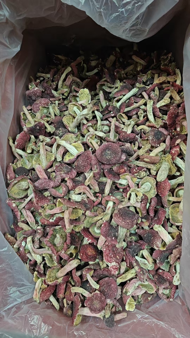 野生红菇批发产地直发正红菇滋补品，电话联系更优惠