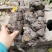久蜜优品：野生何首乌，天然无污染，良药原料。欢迎采购