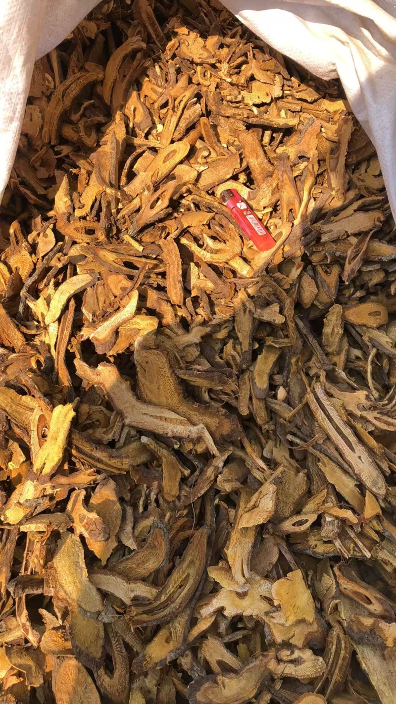 优质虎杖，欢迎选购。量大优惠