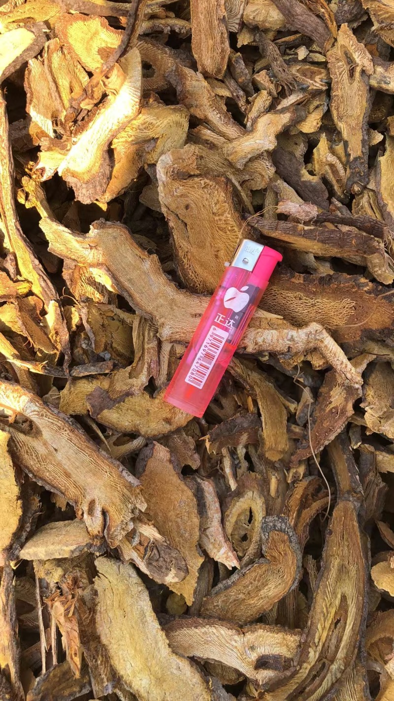 优质虎杖，欢迎选购。量大优惠