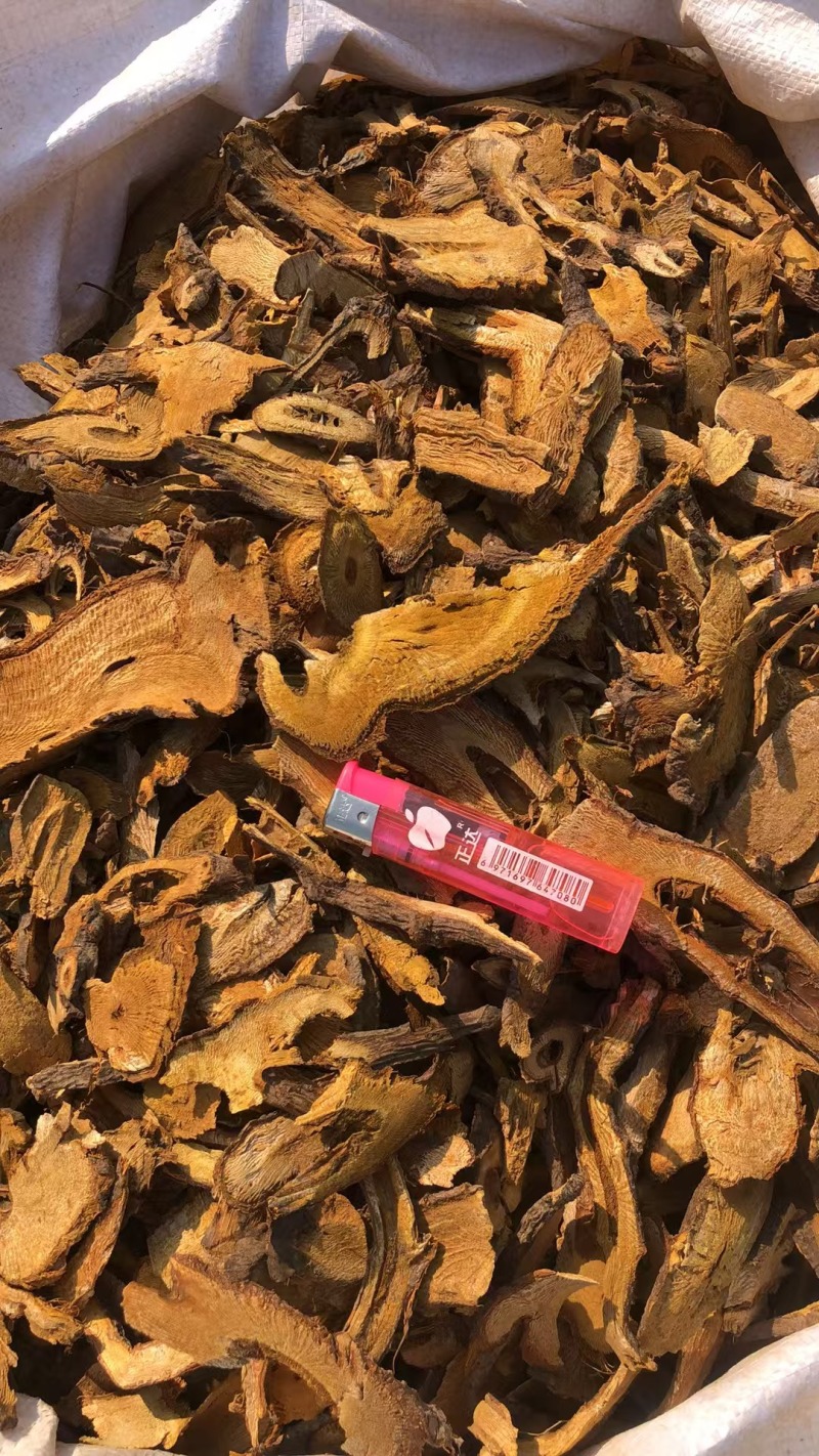 优质虎杖，欢迎选购。量大优惠