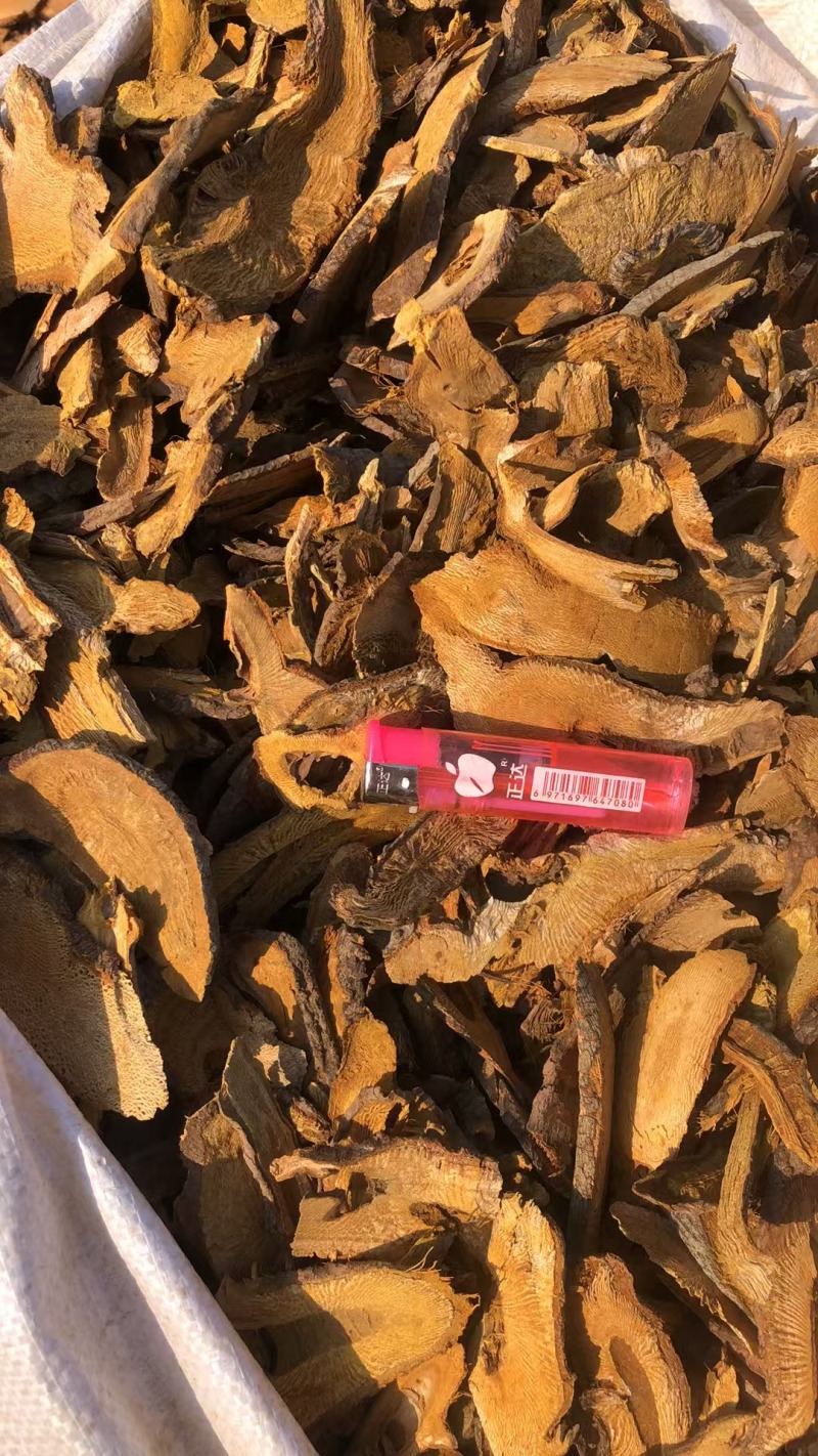 优质虎杖，欢迎选购。量大优惠