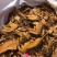 优质虎杖，欢迎选购。量大优惠