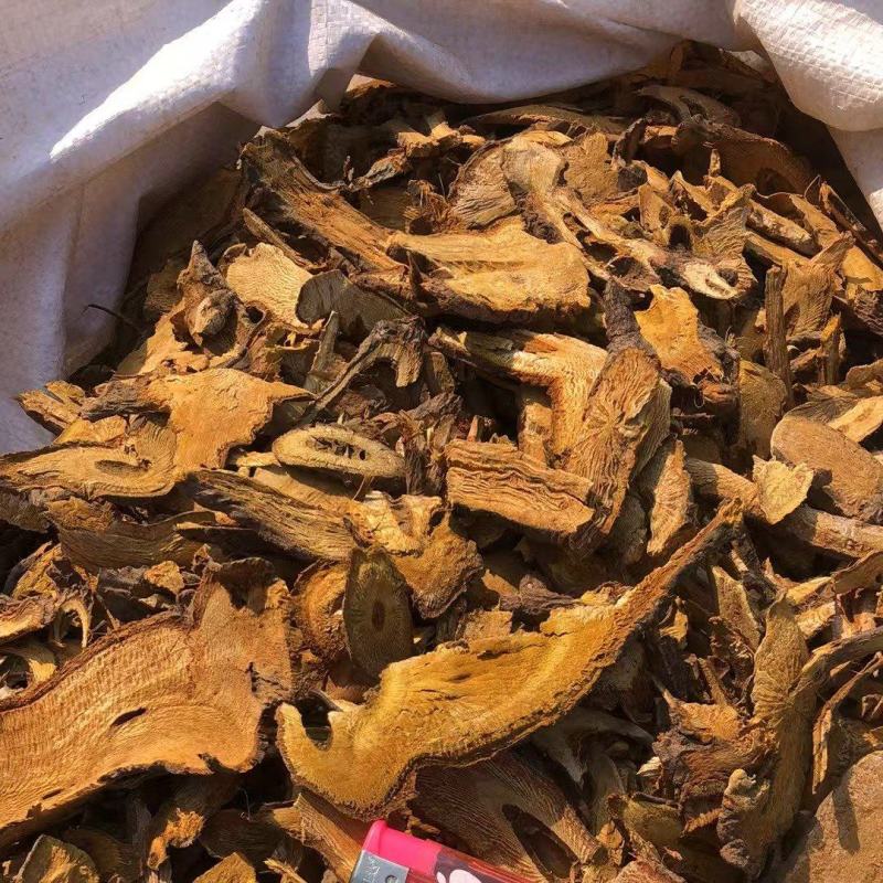 优质虎杖，欢迎选购。量大优惠
