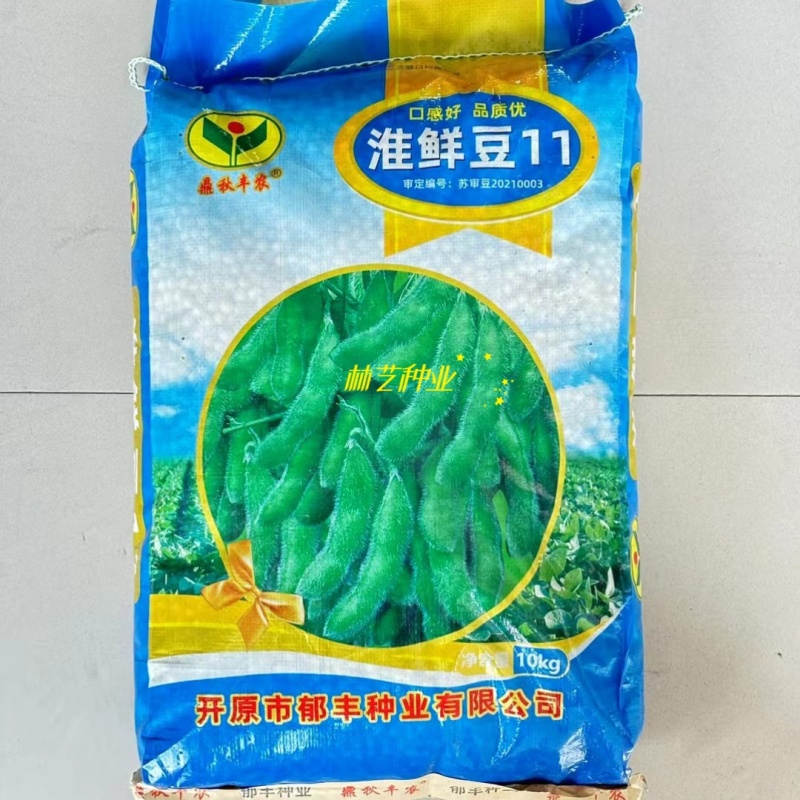 淮鲜豆11毛豆种子中熟大青毛豆高产大豆南北方春夏四季蔬菜