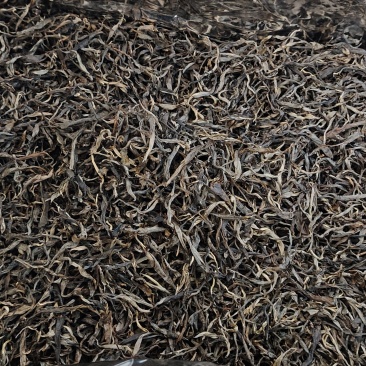 古树普洱茶