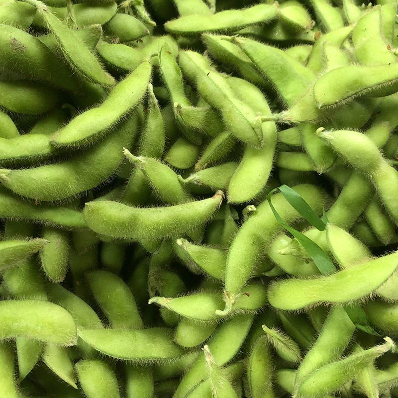 抚鲜3号毛豆种子早熟高产大荚菜豆种籽农家春夏季四季播鲜食
