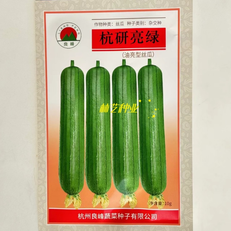 杭研亮绿油亮型香丝瓜种子高产早熟杂交蔬菜种籽春播大田基地
