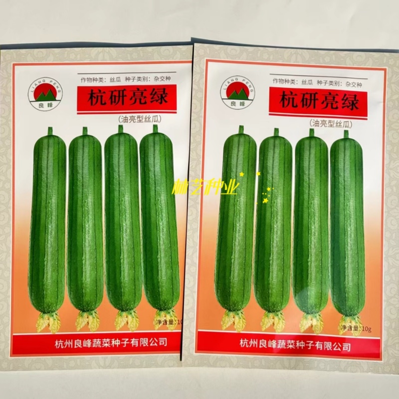 杭研亮绿油亮型香丝瓜种子高产早熟杂交蔬菜种籽春播大田基地