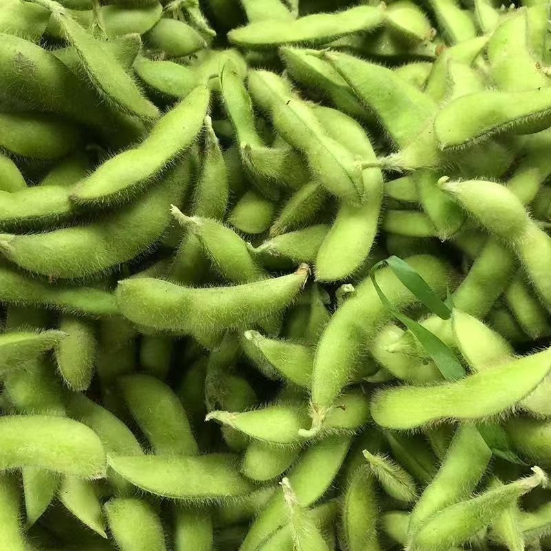 开科源5号毛豆种子大荚四季青黄豆鲜食早熟高产菜毛豆蔬菜种