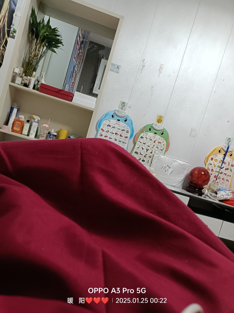 开科源5号毛豆种子大荚四季青黄豆鲜食早熟高产菜毛豆蔬菜种