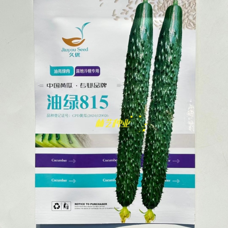 油绿815黄瓜种子瓜条油亮瓜条顺直短把密刺抗高温春夏秋播