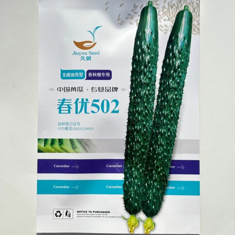 春优502黄瓜种子强雌性黄瓜早熟耐低温短把油亮黄瓜种籽