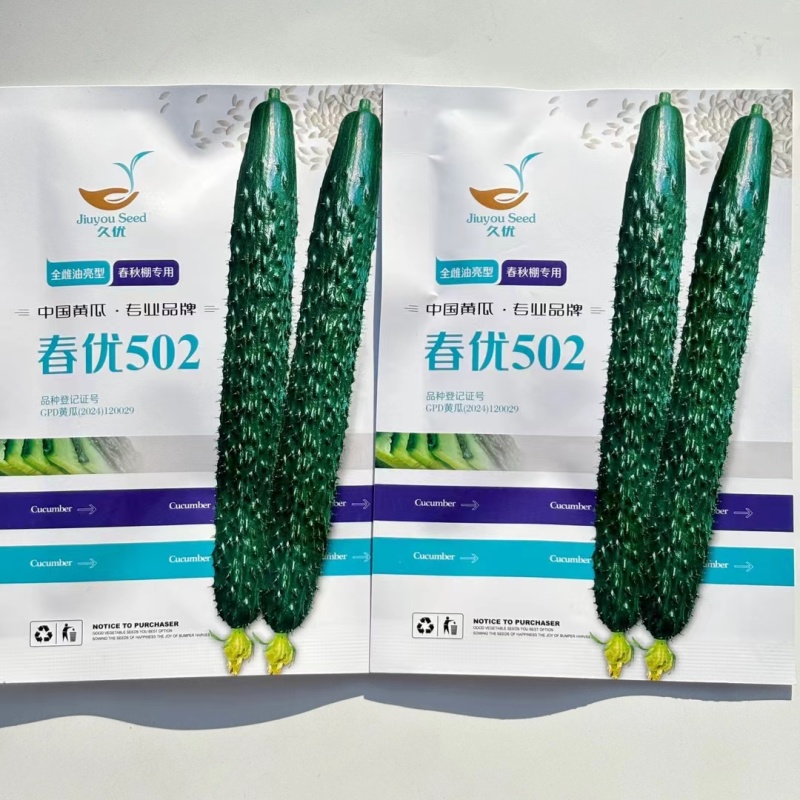 春优502黄瓜种子强雌性黄瓜早熟耐低温短把油亮黄瓜种籽