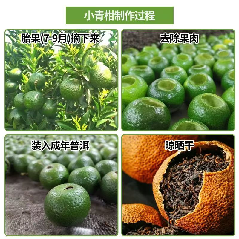 正宗陈皮柑苗茶枝柑柠檬头枮木基地现挖现发大红柑小青柑