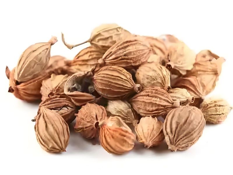 香砂仁，药食同源健康之选，3万亩基地，货源充足