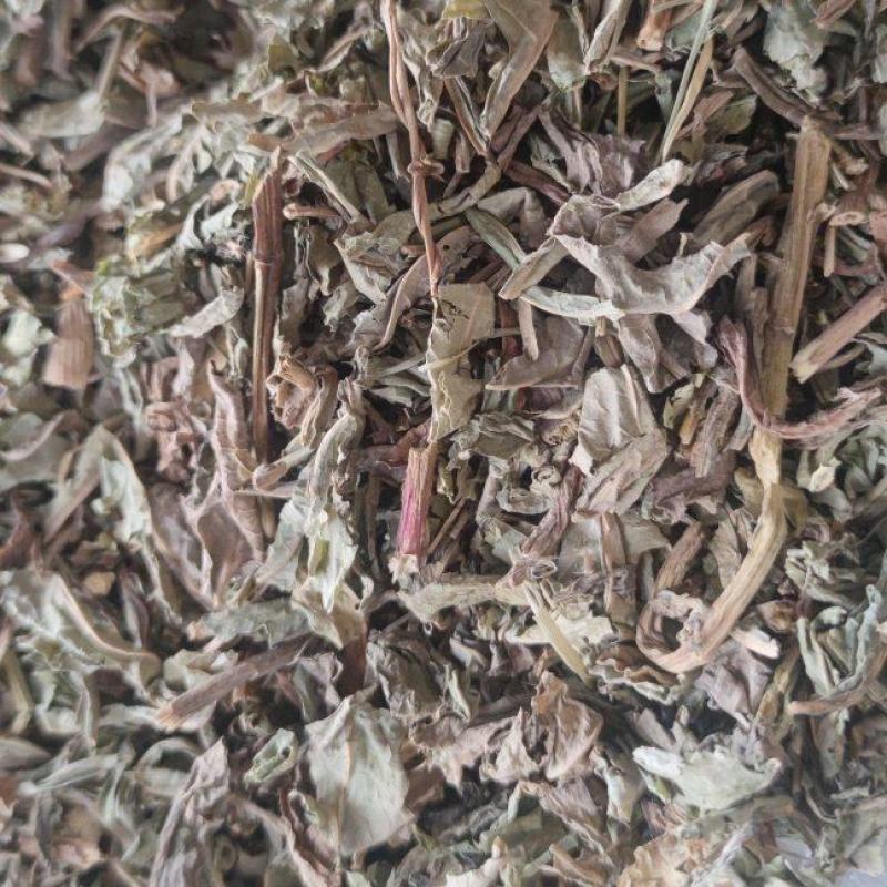败酱草中药材批发量大从优诚信经营