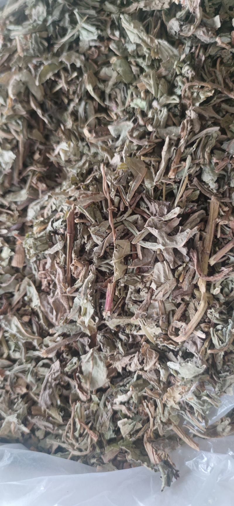 败酱草中药材批发量大从优诚信经营