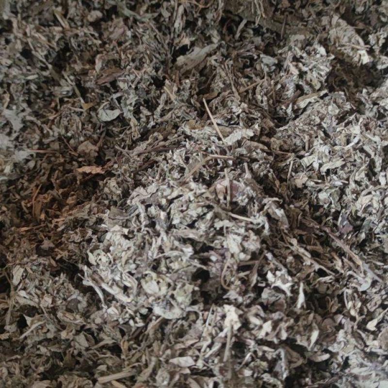 艾叶中药材批发诚信经营量大从优