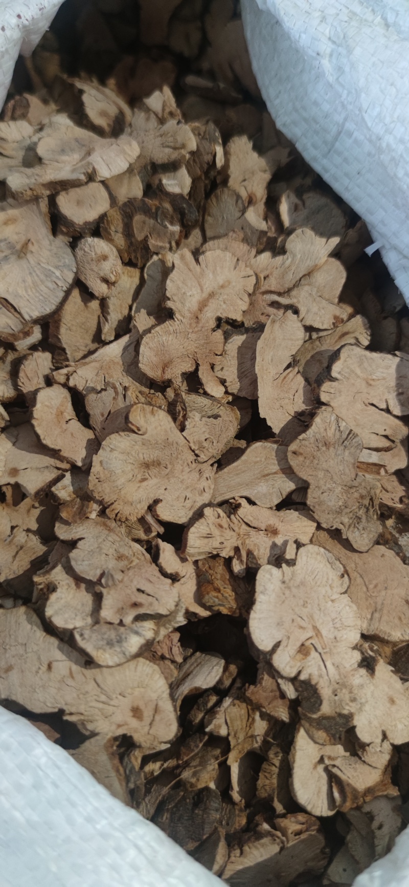 金荞麦中药材批发量大从优诚信经营