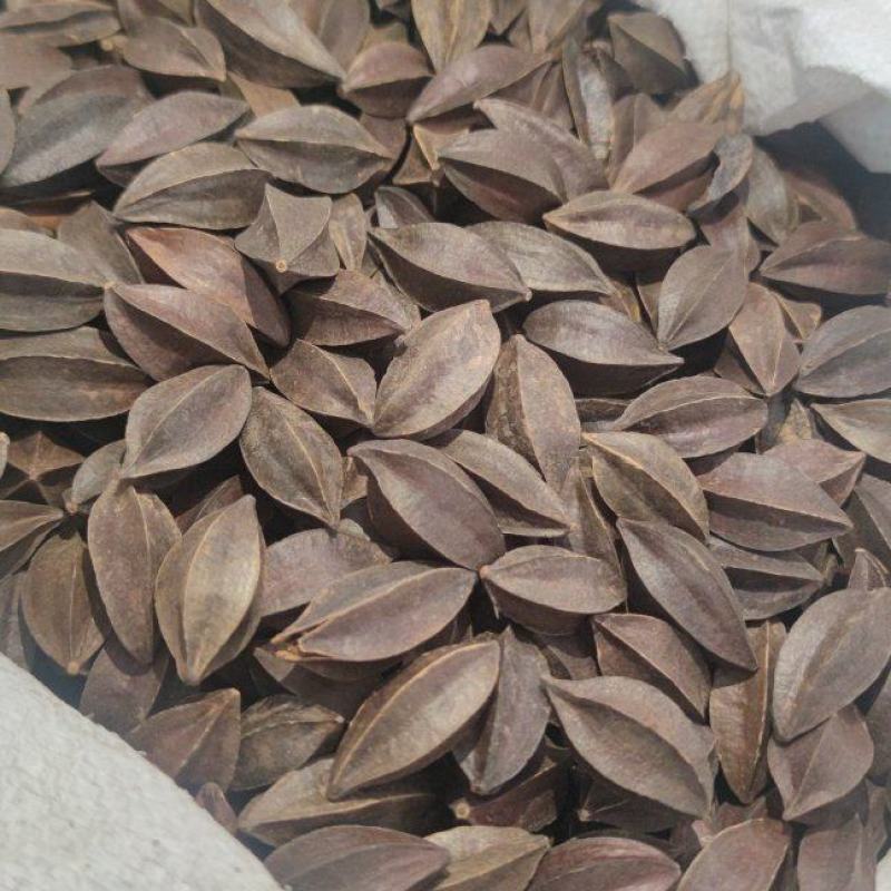 使君子中药材批发诚信经营量大从优