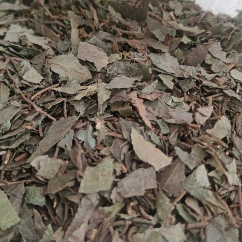 平地木矮地茶中药材批发诚信经营量大从优