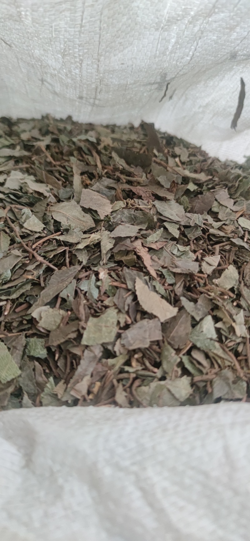 平地木矮地茶中药材批发诚信经营量大从优