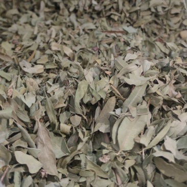 罗布麻中药材批发诚信经营量大从优