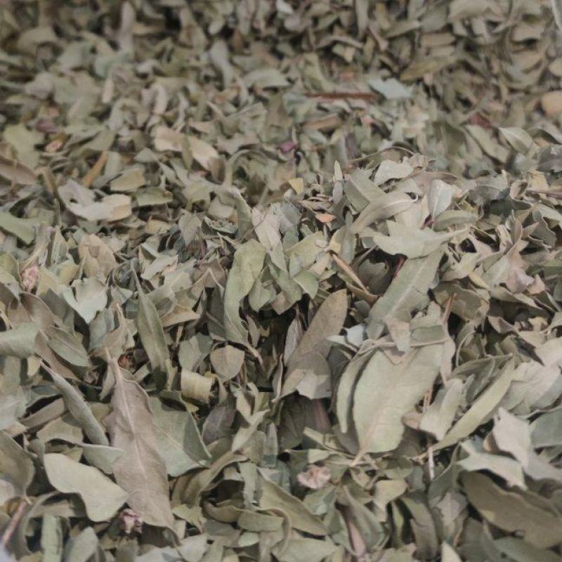 罗布麻中药材批发诚信经营量大从优