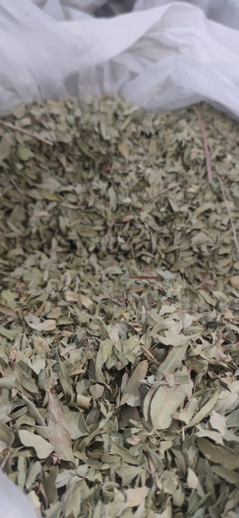 罗布麻中药材批发诚信经营量大从优