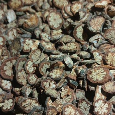 红藤大血滕中药材批发量大从优诚信经营