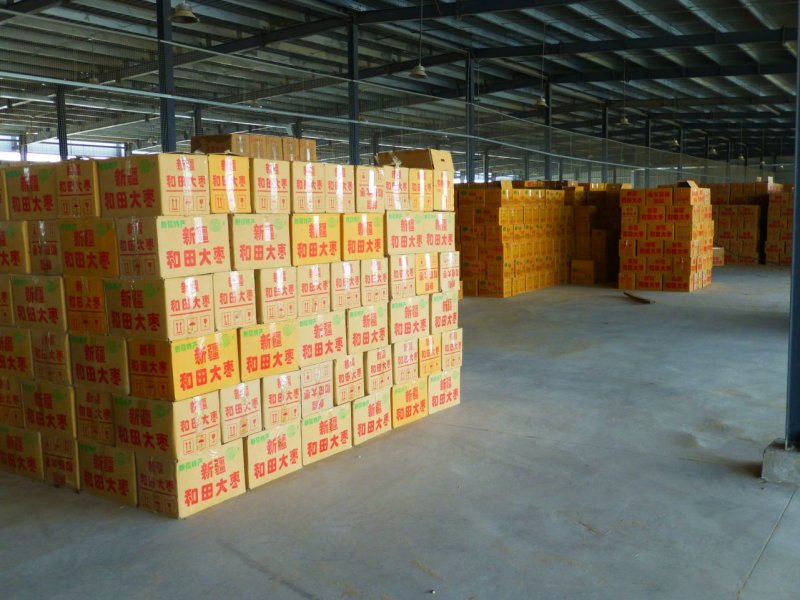 【实力推荐】新疆和田大枣三级品质保证可视频看货对接全国