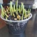 中量元素水溶肥料硅钙镁厂家直发诚信经营