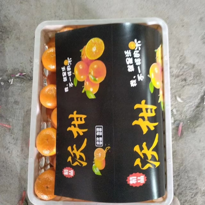 重庆沃柑