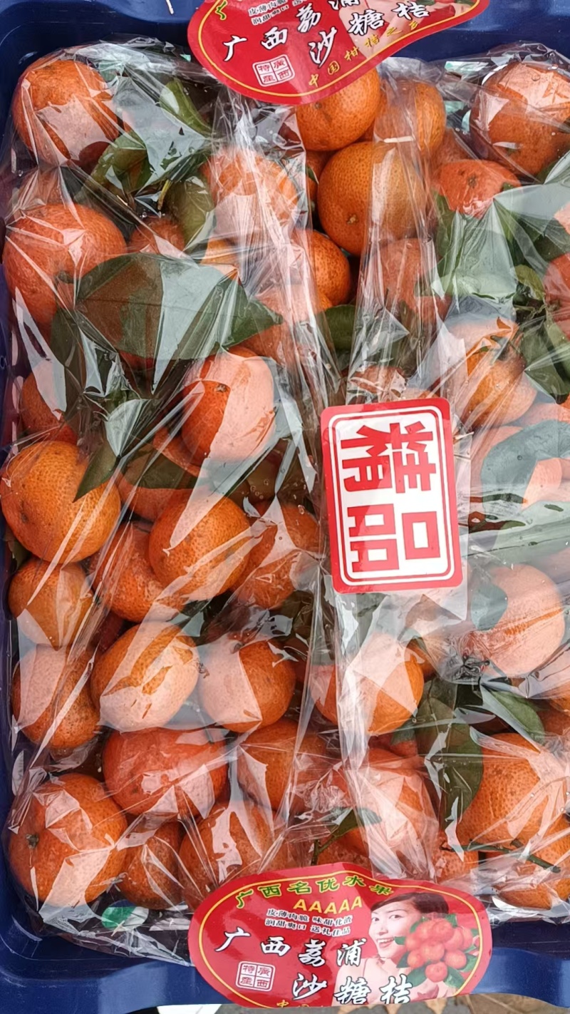 精品沙糖桔