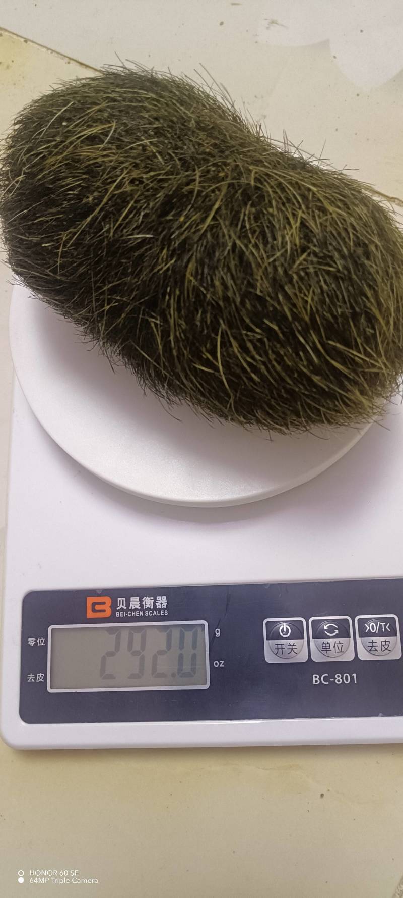 新鲜猪宝，健康美味，直供农场，快来选购！