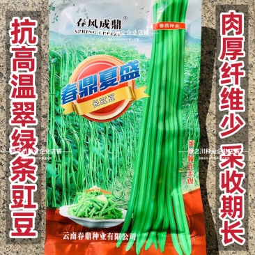 特耐热长豇豆种子春鼎夏盛豆角种子高产厚肉翠绿豇豆种籽抗热