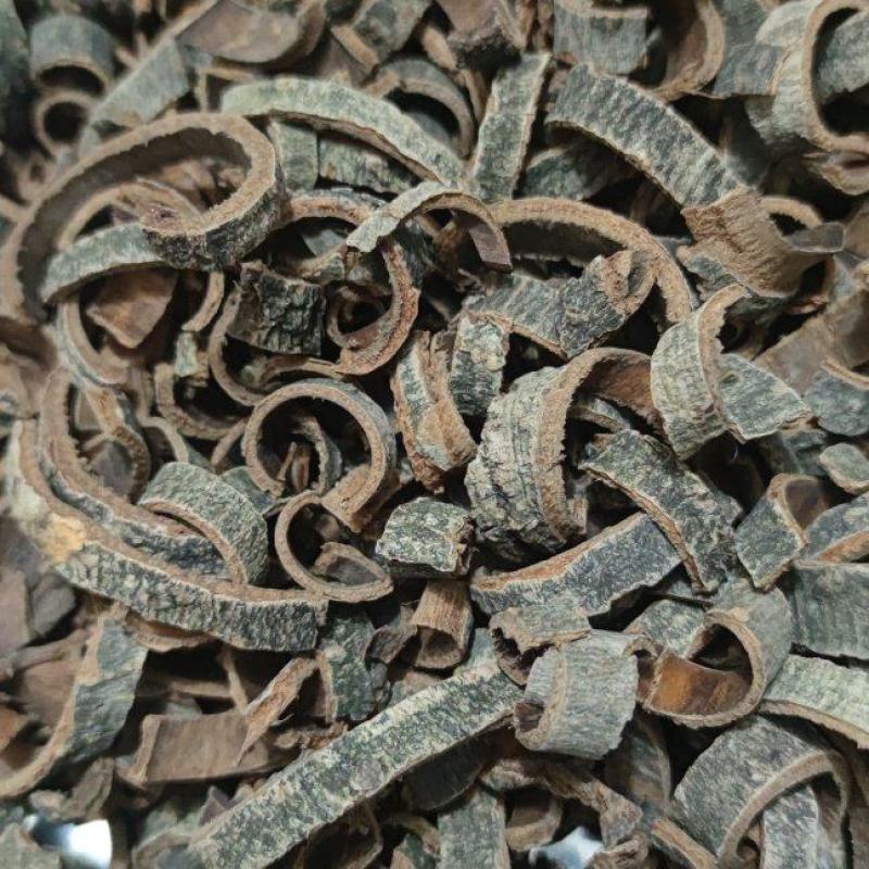 厚朴中药材批发诚信经营量大从优