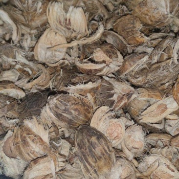 大腹皮中药材批发诚信经营量大从优