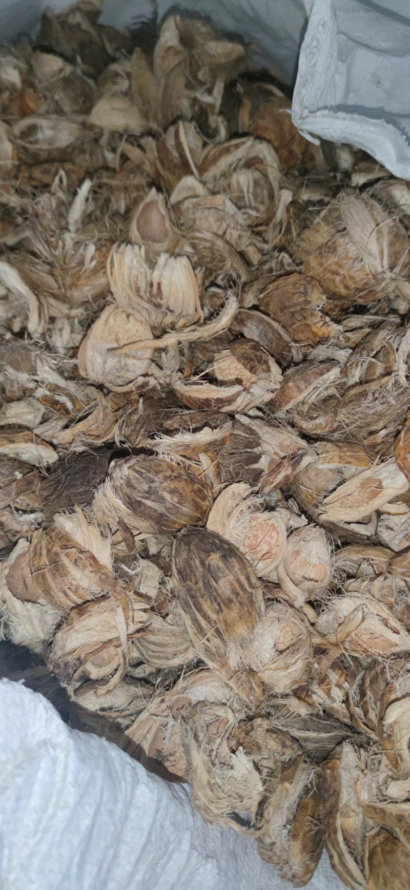 大腹皮中药材批发诚信经营量大从优
